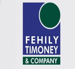 Fehily Timoney & Co (IE)